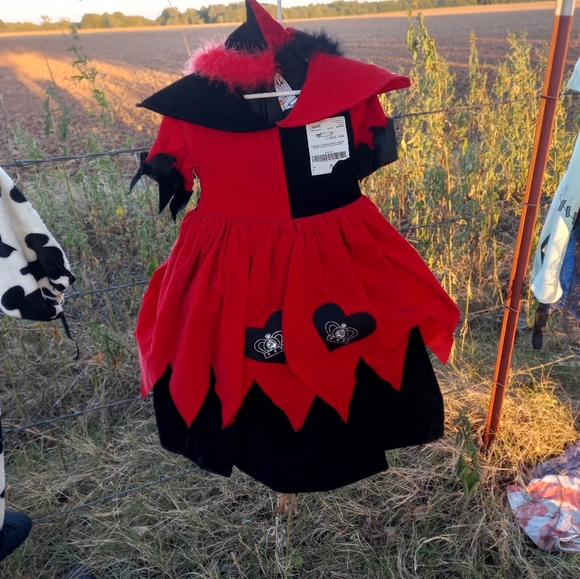 Size 4 Girls Rare "Queen of Hearts" Costume/DressUp Dress - Picture 6 of 10